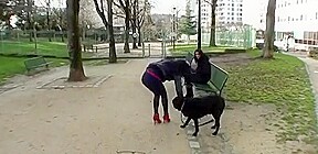 2 perfect bitches, they are awesome
