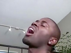 3 BBC Orgy