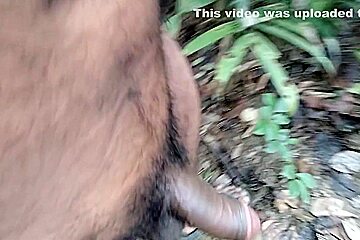 Adult Video