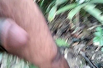 Adult Video