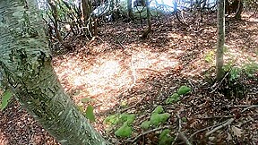 Amateur Sex In Woods Ends With White Ass Creampied