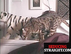 Athletic straighty gets tugged and fingered during blowjob