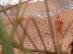 Beach   Hardcore Sex  /3 5 Min - Shirley Harris And Vac Ov