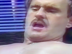 Big Tits Box DVD 18