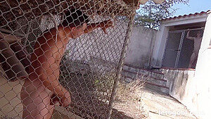 Bisexual Bj Fucking Fantasy In Cages One At A Time By