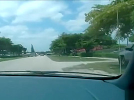 Blow Patrol Daisy