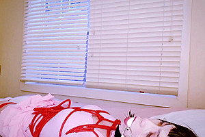Bondage Gloves & Magic Wand (cd Selfbondage)