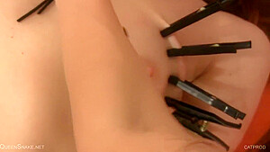 Cattle Prod And Clamps