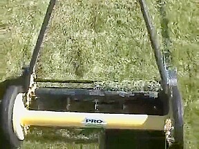 Chelsea Charms Grass cutting
