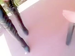 Cow Girl Gets Fucked