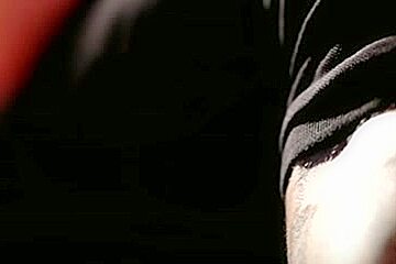 Damien Crosse le