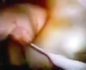 Deborah Pitts violates me at the York Shire house exposing her bare breast