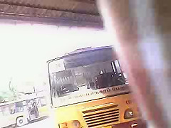 Desi Girls combo bus collections2