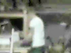 Dolphin Kicker 1