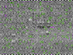 Dreambook, Scene 5