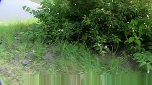 European Lesbos Filmed Pussylicking Outdoors