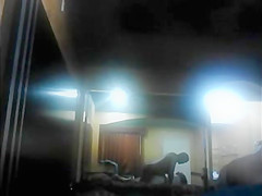 Fat Wife Takes Black Cock