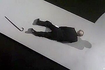 Flower and Snake (2004)