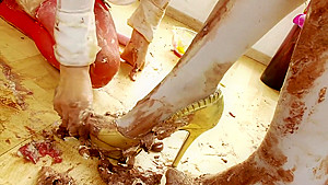 Food And Fuck - Bluebird Films