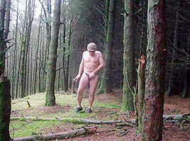 Forest fun public walkway