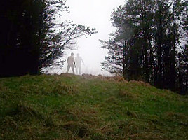 Forest fun public walkway