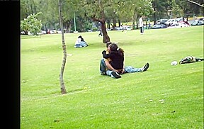 Frente al metro en el parque