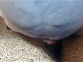 Fuck and Cum Navy Leather High Heel Shoes