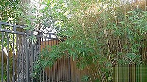 GARDEN PHOTO SHOOT - PEE BREAK