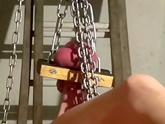 Giant Hanging