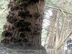 Group of teens 18+ caught pissing in the nature