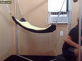 Homemade DILF assdrilled in sling after giving blowjob