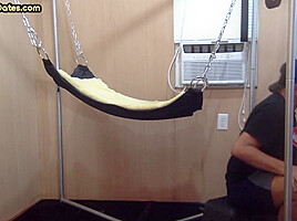 Homemade DILF assdrilled in sling after giving blowjob