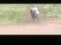 Hookers in Park