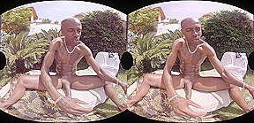 Hot Garden - Virtualrealgay