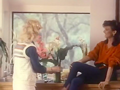 Indecent Pleasures (1984)