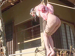 Japanese Bondage Pt335