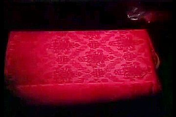 Laura Angel - Donne gatto ladre di sesso (scene 2)