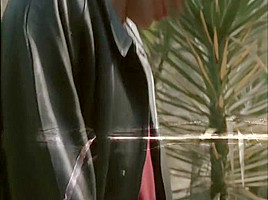 Marina Hedman, Hélène Shirley, Selene Marquis - Sueca bisexual necesita semental (1982)