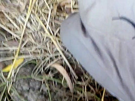 Masterbation outdoor