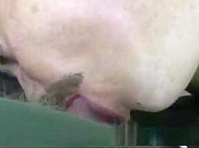 Mature Amateur Don Jacking Off