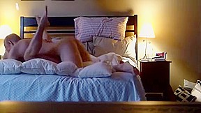 Mature cougar