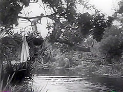 Maureen O'Sullivan Nude Swimming
