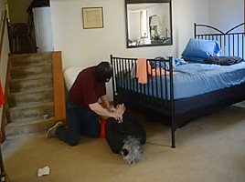 MrGoodCinch Home Invasion 1