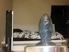 My Tilapia Butt Plug