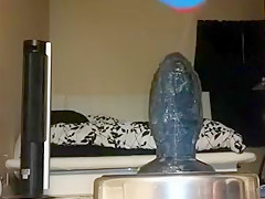 My Tilapia Butt Plug