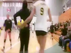 Nenas de volley