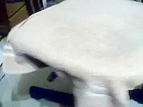 Office Webcam 5