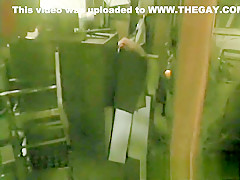 Pau Brasil Productions - The Wanting - 5