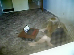 Peeping the neighbor girl video chatting