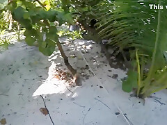 Public Sex On Mexican Beach Sperm Eating Without Condom
